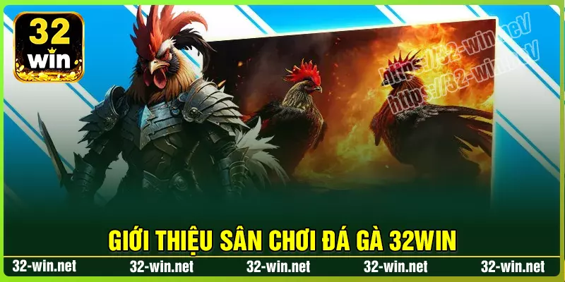 Tổng quan chung về sân chơi Đá gà 32win Tổng quan chung về sân chơi Đá gà 32win