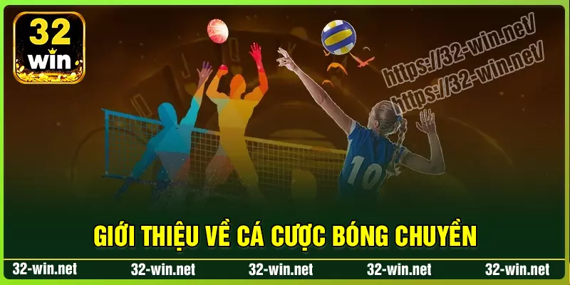 Giới thiệu về cá cược bóng chuyền 32win Giới thiệu về cá cược bóng chuyền 32win