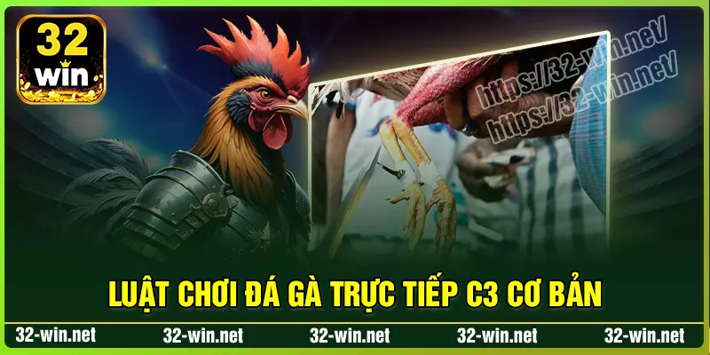 Luật chơi đá gà trực tiếp c3 cơ bản